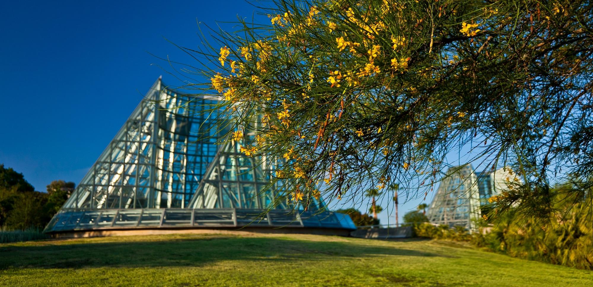 What To See When You Visit the San Antonio Botanical Garden – Blog