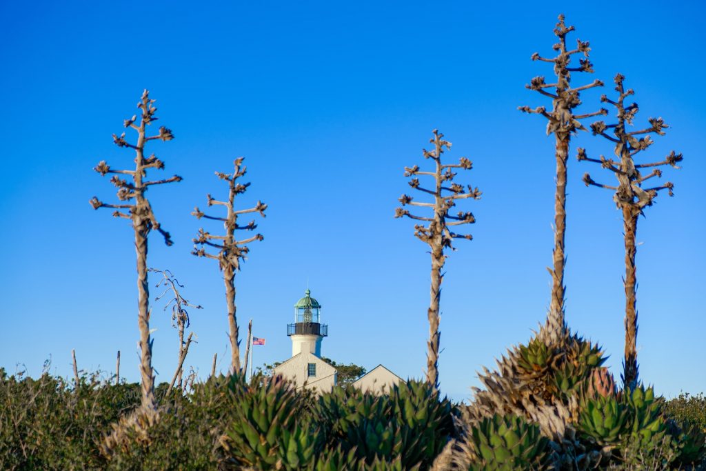Cabrillo National Monument: History, Trails, and Tide Pools – Blog