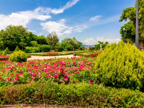 Miramar Gardens on Montjuic tour in Barcelona