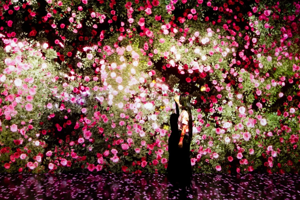 Digital projection of flowers at Arte Museum