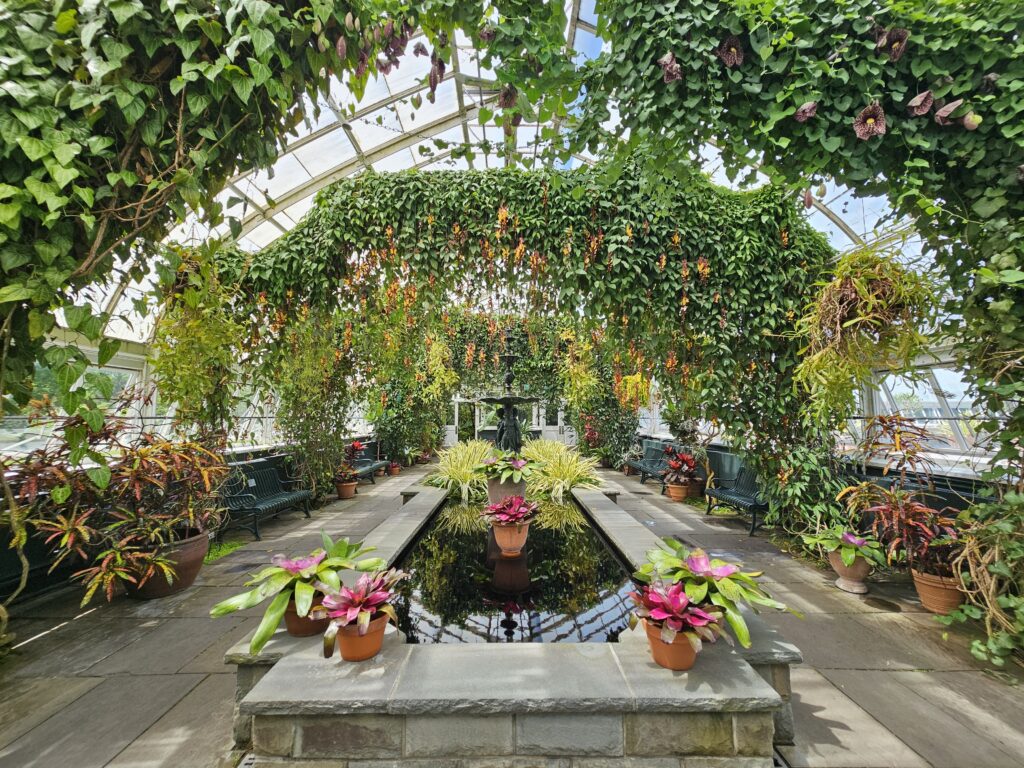Inside the NYBG conservatory