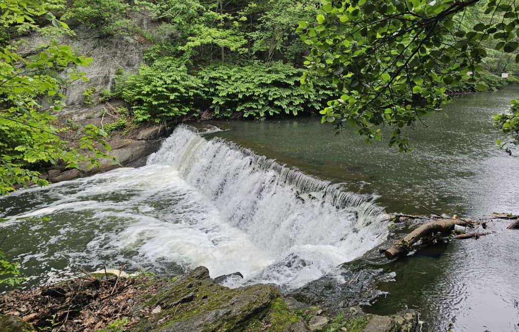 Waterfall within the Thain Family Forest
