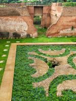 Palatine Hill guided tour