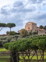 Palatine Hill guided tour